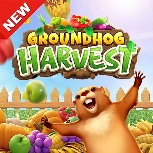 Groundhog Harvest