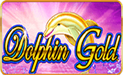 Dolphin Gold