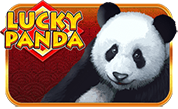 Lucky Panda