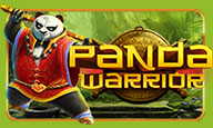 Panda Warrior